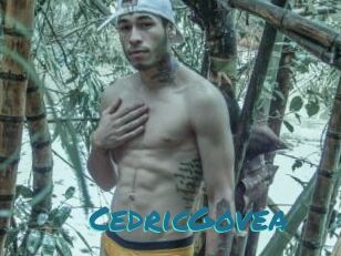 CedricGovea