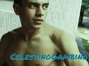 CelestinoGambino