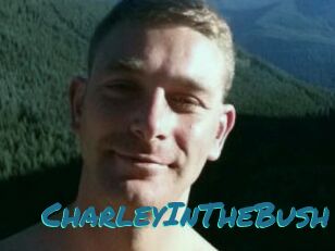 CharleyInTheBush