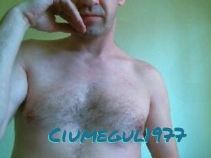 Ciumegul1977