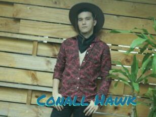 Conall_Hawk