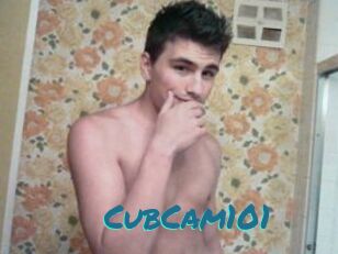 CubCam101