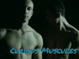 Curious_Muscules