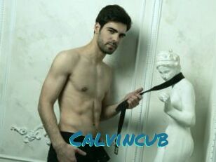 Calvincub