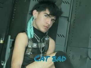 Cat_bad