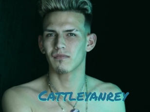 cattleyanrey Films Gay