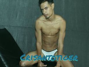Crisantotiger