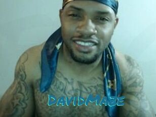 David_Maze