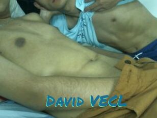 David_VECL