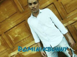 Dominikbunny