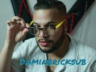 Daminbricksub