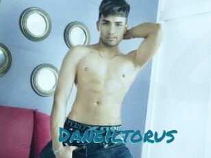 Daneil_torus