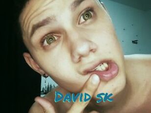 David_sk