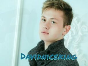 Davidniceking