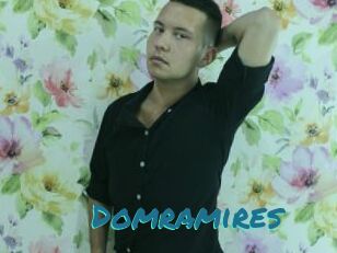 Domramires