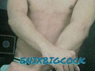 ENIXBIGCOCK