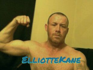 Elliotte_Kane