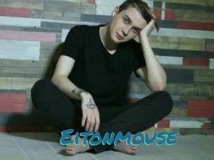 Eitonmouse