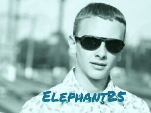 Elephant25