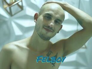 Felboy