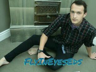 FlyInEyesEds