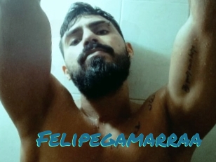 Felipegamarraa