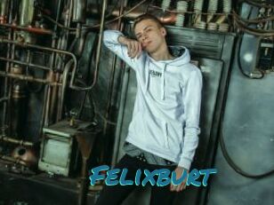 Felixburt