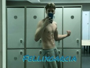 Fellixgarcia