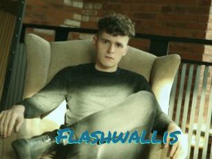 Flashwallis