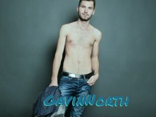 GavinNorth