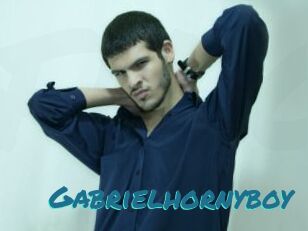 Gabrielhornyboy
