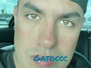 Gatoccc