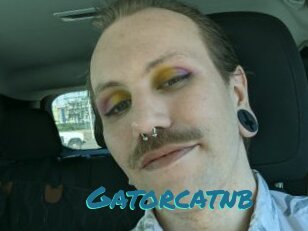 Gatorcatnb