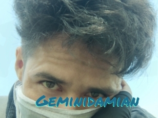 Geminidamian