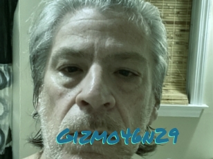 Gizmo46n29