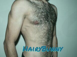 HairyBunny