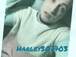 Harley307703