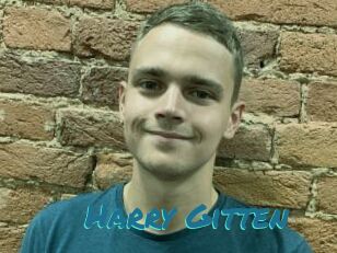 Harry_Gitten