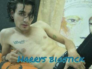 Harrys_bigstick