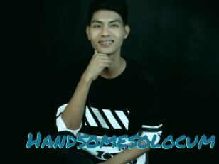 Handsomesolocum