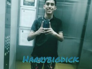 Harrybigdick