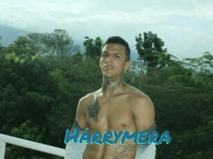 Harrymera