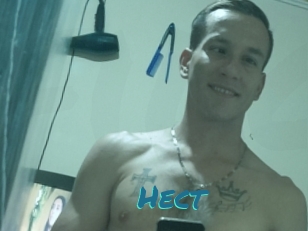 Hect