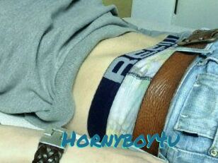Hornyboy4u