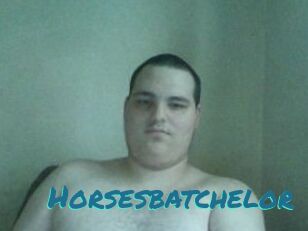 Horsesbatchelor