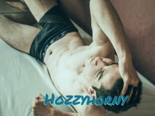 Hozzyhorny