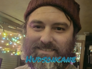 Hudsoncane