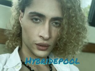 Hybridepool