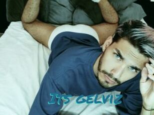 Its_gelviz