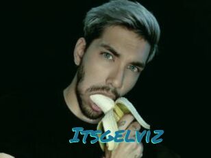 Itsgelviz